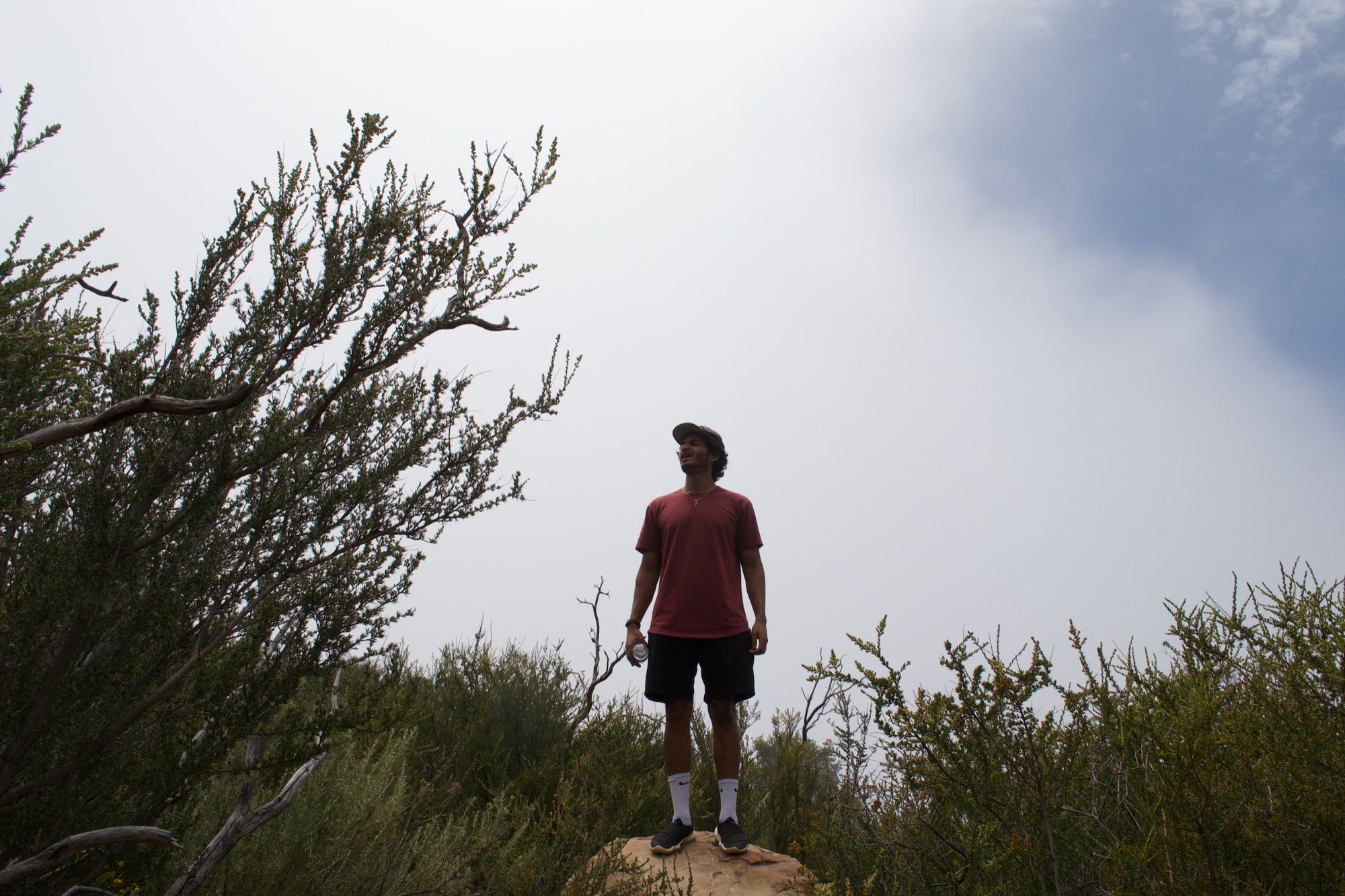 Above the marine layer